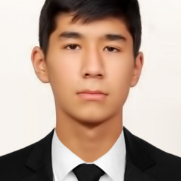 Profile picture of user Samandar Mahamadjonov