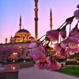 Profile picture of user Niginabonu Botirova